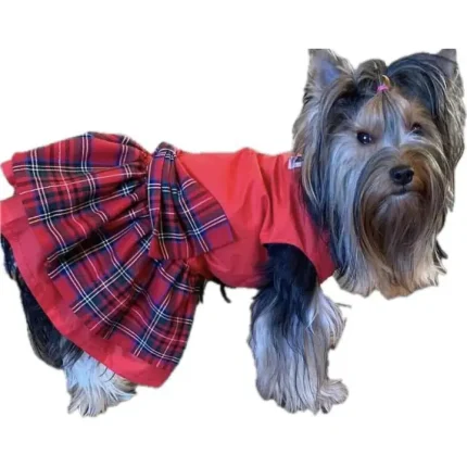 Dog dress (Scottish dress)