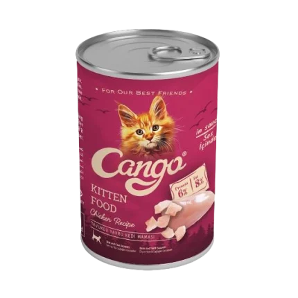 Kango the kitten